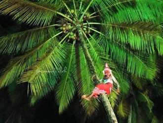 Bappooran Theyyam / Bappooranmar Theyyam / Bapooriyan Theyyam / Bappiriyan Theyyam / Arya Bappiriyan Theyyam